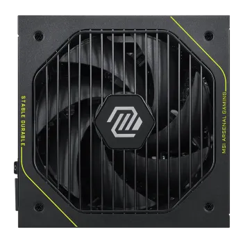 MSI MAG A1000PLS PCI5 1000Watt