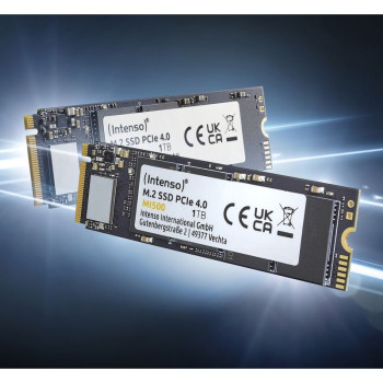 Intenso M.2 PCIe MI500 2TB Gen.4x4 NVME 1.4