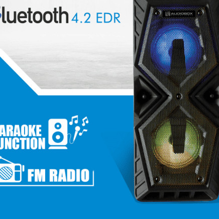 AudioBox BX D3000 TWS Portable Speaker
